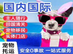 腾鳌机场托运国际宠物托运 【国